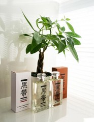 Black Belt Cologne (Men) or Perfume (Women) 3.4 oz EDP – 1 Bottle of Your Choice