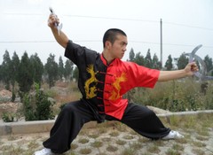 Martial Arts Tai Chi Uniform Chinese Kung Fu Tang Suit Dragon Embroidery Outfit