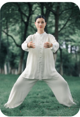 Kun Master Summer Kung Fu Dress Martial Art Uniform Tai Chi Clothes Wushu