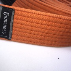 Gameness Professional Fighting System Belt Orange Stripe Size 1