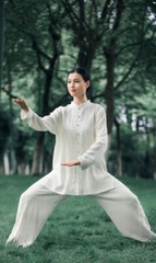 Kun Master Summer Kung Fu Dress Martial Art Uniform Tai Chi Clothes Wushu