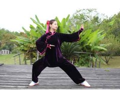 Winter Tai Chi Clothes Thick Kung Fu Dress Wushu Martial Art Uniform Long Sleeve