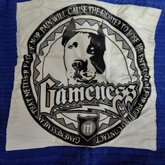 Gameness brand Brazilian Jiu-Jitsu blue jacket adult A2 Very Good Gondition