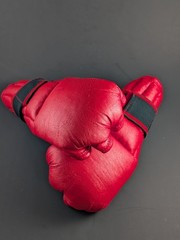 Tae Kwon Do Sparring Set Pine Tree Gear & Yoon’s Academy Bear Brand Uniform Sz 5