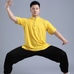Linen Chinese Kung Fu Tai Chi T-Shirt Tops Pants Cool Martial Arts Uniform Suit