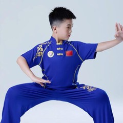 Traditional Chinese Professional Kung Fu Suit Uniform Martial Arts Wushu Outfit