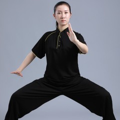Linen Kung Fu Tai Chi T-Shirt Tops Pants Cool Martial Arts Wingchun Uniform Suit