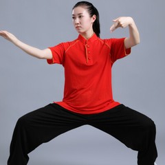 Linen Chinese Kung Fu Tai Chi T-Shirt Tops Pants Cool Martial Arts Uniform Suit