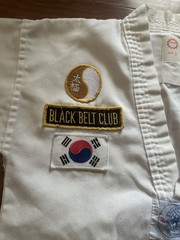 Vintage Sun Choi Brothers Taekwondo Top