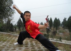 Martial Arts Tai Chi Uniform Chinese Kung Fu Tang Suit Dragon Embroidery Outfit