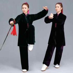 Winter Tai Chi Clothes Thick Kung Fu Dress Wushu Martial Art Uniform Long Sleeve