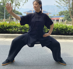 Unisex Summer Cotton Tai chi Uniform Kung fu Martial arts morning exercise Suit
