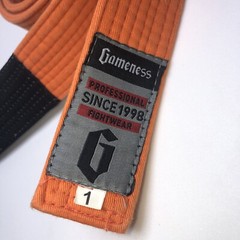 Gameness Professional Fighting System Belt Orange Stripe Size 1