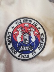 Vintage Lims Tae Kwon Do Top Size 1 Distressed