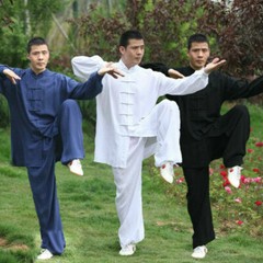 New Men’s Cotton Kung Fu Tai Chi Uniform Martial Arts Wushu Taiji Wing Chun Suit