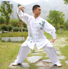 Unisex silks satins Tai chi Uniforms Wushu Martial arts Kung fu Wing Chun Suit