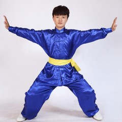 Silk Chinese Kung Fu Tai Chi Uniform Martial Arts Changquan Suit Outfit 7 Colors