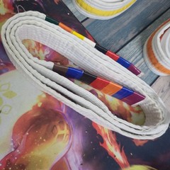 LOT OF 5 Pro Force Karate Belts Martial Arts Double Wrapped Reinforced & BAG