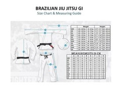 Shoyoroll Batch #160: SSS Equipes