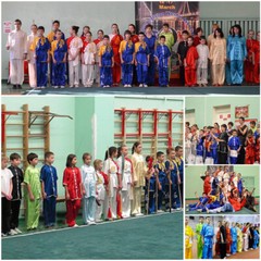Silk Professional Kungfu Taichi Uniform Martial Arts Wushu Suit Dragon 130~185cm