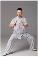 Short Sleeve Kung Fu Shirts Vintage Sport Tops Martial Arts Tai chi Uniform