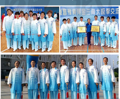 Women Men’s Milk Silk Chinese Tai Chi Suit martial arts Uniform Kung Fu Suit Set