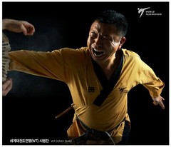 MOOTO Poomsae High Dan Uniform WT (World Taekwondo) Dobok TAEBEK New Logo Master