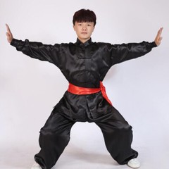 Silk Chinese Kung Fu Tai Chi Uniform Martial Arts Changquan Suit Outfit 7 Colors