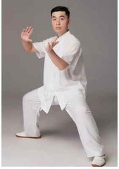 Short Sleeve Kung Fu Shirts Vintage Sport Tops Martial Arts Tai chi Uniform
