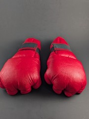 Tae Kwon Do Sparring Set Pine Tree Gear & Yoon’s Academy Bear Brand Uniform Sz 5