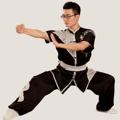 Silk Martial Arts Kung Fu Uniform Wushu Changquan Tai Chi Suit Dragon Embroidery