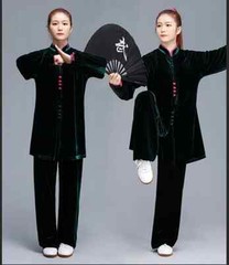 Winter Tai Chi Clothes Thick Kung Fu Dress Wushu Martial Art Uniform Long Sleeve