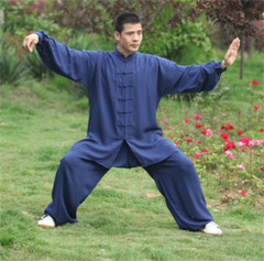 Soft Cotton Martial arts Wing Chun Clothes Tai chi Uniform Kung fu Suit Summer