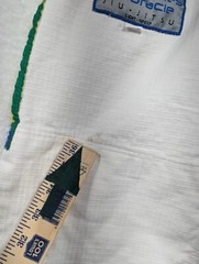 Gracie Jiu Jitsu Pants Youth M00 White
