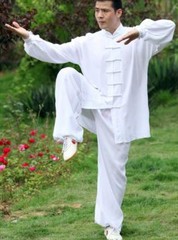 Tai chi Uniform Kung fu Suit Martial arts Wing Chun Clothes 5 Colors Soft Cotton