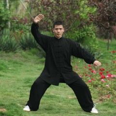 New Cotton Kung Fu Tai Chi Uniform Martial Arts Wushu Taiji Wing Chun Suit