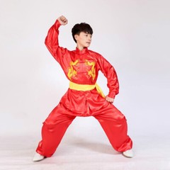 Silk Martial Arts Kung Fu Uniform Tai Chi Suit Wushu Clothes Dragon Embroidery