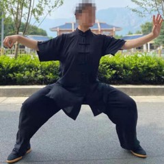 SUMMER Cotton Short-Sleeve Tai Chi Clothes Martial Arts Uniforms Kung Fu Suits