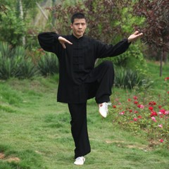 Chinese Kung Fu Tai Chi Uniform Martial Arts Shaolin Suit Wushu Clothes Outfit