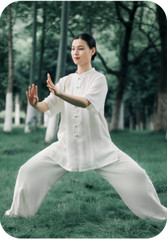 Kun Master Summer Kung Fu Dress Martial Art Uniform Tai Chi Clothes Wushu