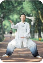 Kun Master Tai Chi Clothes Kung Fu Dress Martial Art Uniform Wushu Clothing