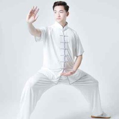 Summer Kung Fu Shirts Wing Chun Sport Tops Martial Arts Taichi Uniform Milk Silk