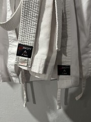 Karate Swift Outfit white size 000, 3 pieces Coat Pants Belt Costume