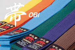Shureido Karate Belt Obi Custom Embroidery Name Dojo Japan All Colors Sizes