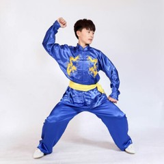 Silk Martial Arts Kung Fu Uniform Tai Chi Suit Wushu Clothes Dragon Embroidery