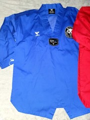 LOT of 2 Vision DXV Taekwondo Uniform Tops Size 2 True Martial Arts W/ Back Logo