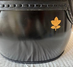 Japanese Kendo Do Chest Guard Armor Bamboo Body Tenka Special Coating