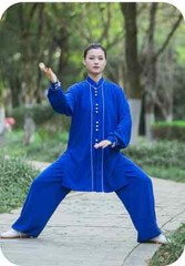Tai Chi Uniforms Kung Fu Clothing Martial Arts Clothes Wushu Wrinkle Free Blue