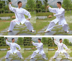 Unisex silks satins Tai chi Uniforms Wushu Martial arts Kung fu Wing Chun Suit