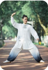 Kun Master Tai Chi Clothes Kung Fu Dress Martial Art Uniform Wushu Clothing